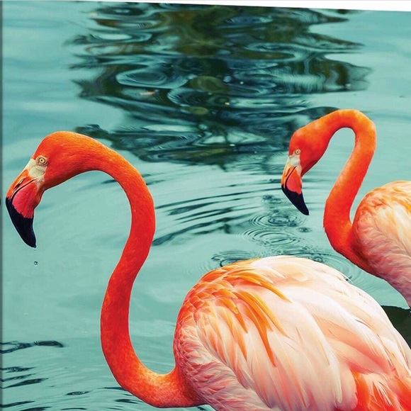 3DeeCloset - Picture 4 of 9